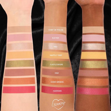 Load image into Gallery viewer, Colourpop Stranger Things Chapter One Eyeshadow Palette