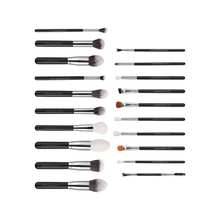 Load image into Gallery viewer, LaRoc Pro Master Luxe 20 Piece Brush Set